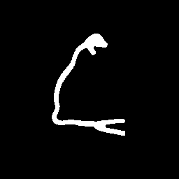 First segmented input view for the coarse-to-refined reconstruction example