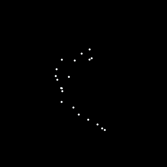 Animation illustrating B-spline centrelines and dense 3D sampling