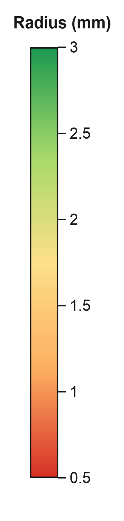 Radius colour scale from 0.5 to 3 millimetres
