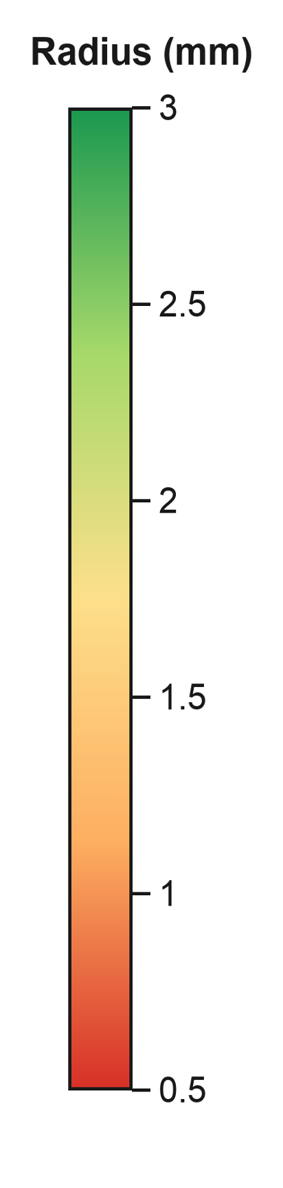 Radius colour scale from 0.5 to 3 millimetres